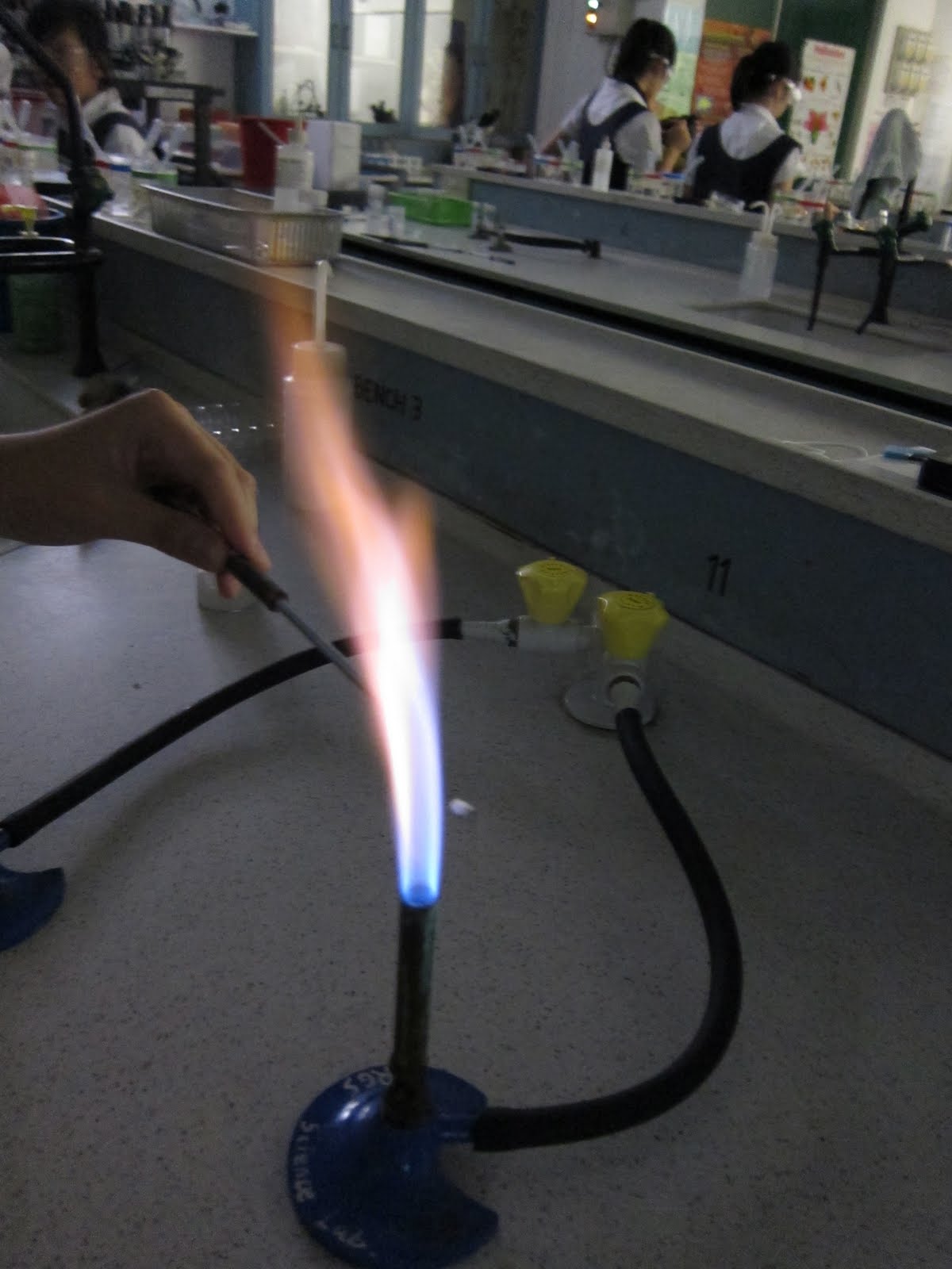 WARNING DO NOT CROSS CSI Flame Tests and Chromatography