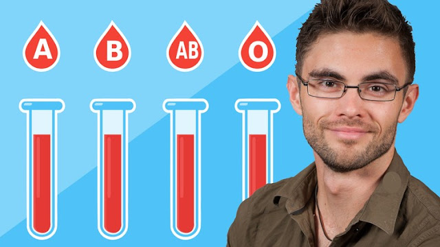 The Blood Type Diet For Your Wellbeeing - Easily Explained The Blood Type Diet For Your Wellbeeing - Easily Explained