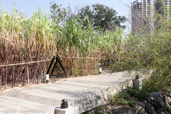 帝國製糖廠台中營業所|歷史建築|台中產業故事館|湧泉公園|星泉湖 帝國製糖廠台中營業所|歷史建築|台中產業故事館|湧泉公園|星泉湖