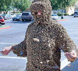 bees swarm crazy covered swarms birds insects bee flies super suburbia hell earth swarmed gary into eskimo weired woods congress