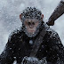 Fox planeja campanha para colocar "Planeta dos Macacos: A Guerra" no Oscar 2018