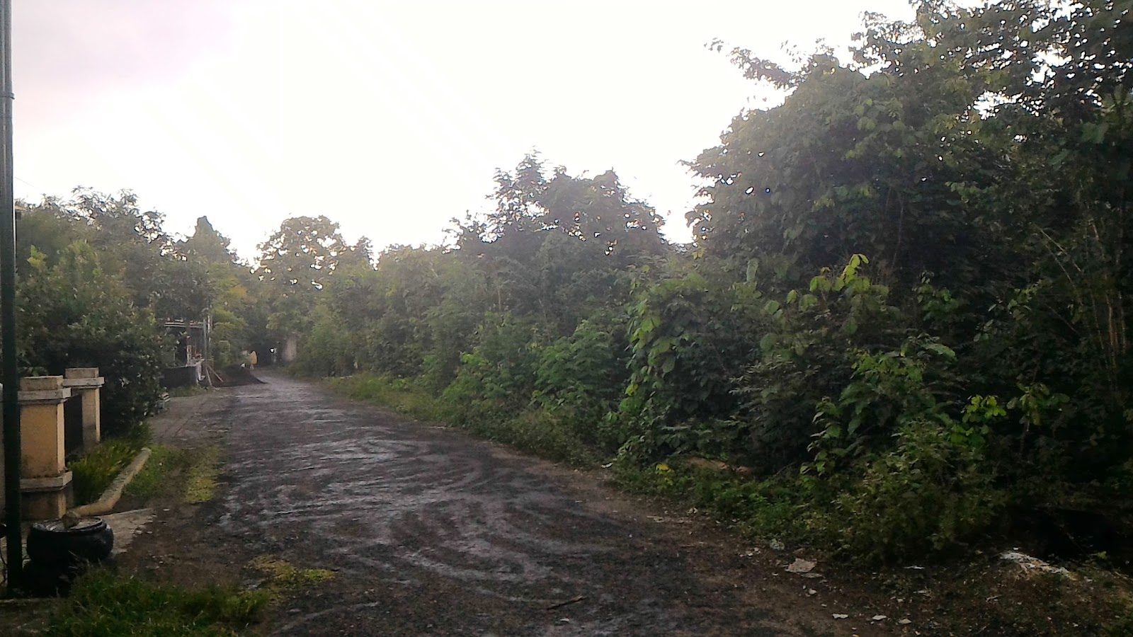 Tanah Jogja Cocok Untuk Perumahan Dijual Dekat Universitas 