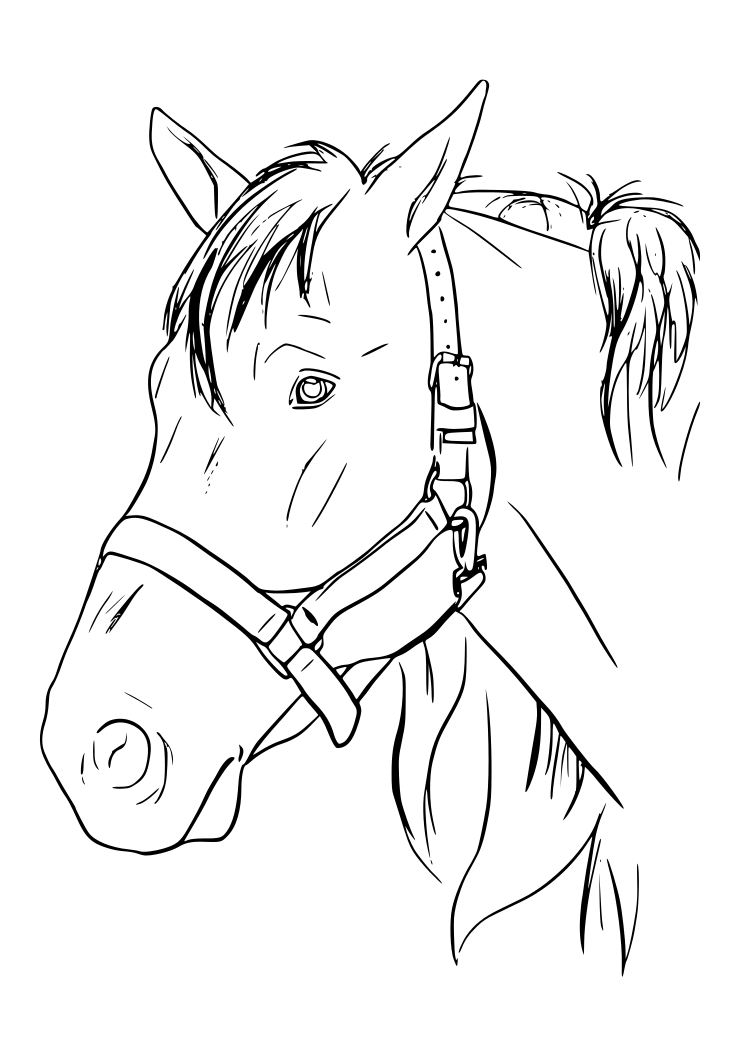 Dibujos para Colorear, Pintar , imprimir.....: CABALLOS