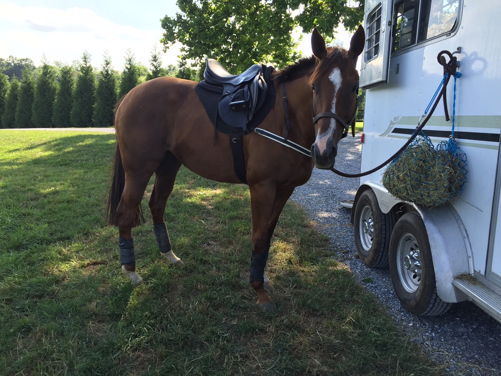 Something To Talk About: handing over the reins (for a day) to a pro