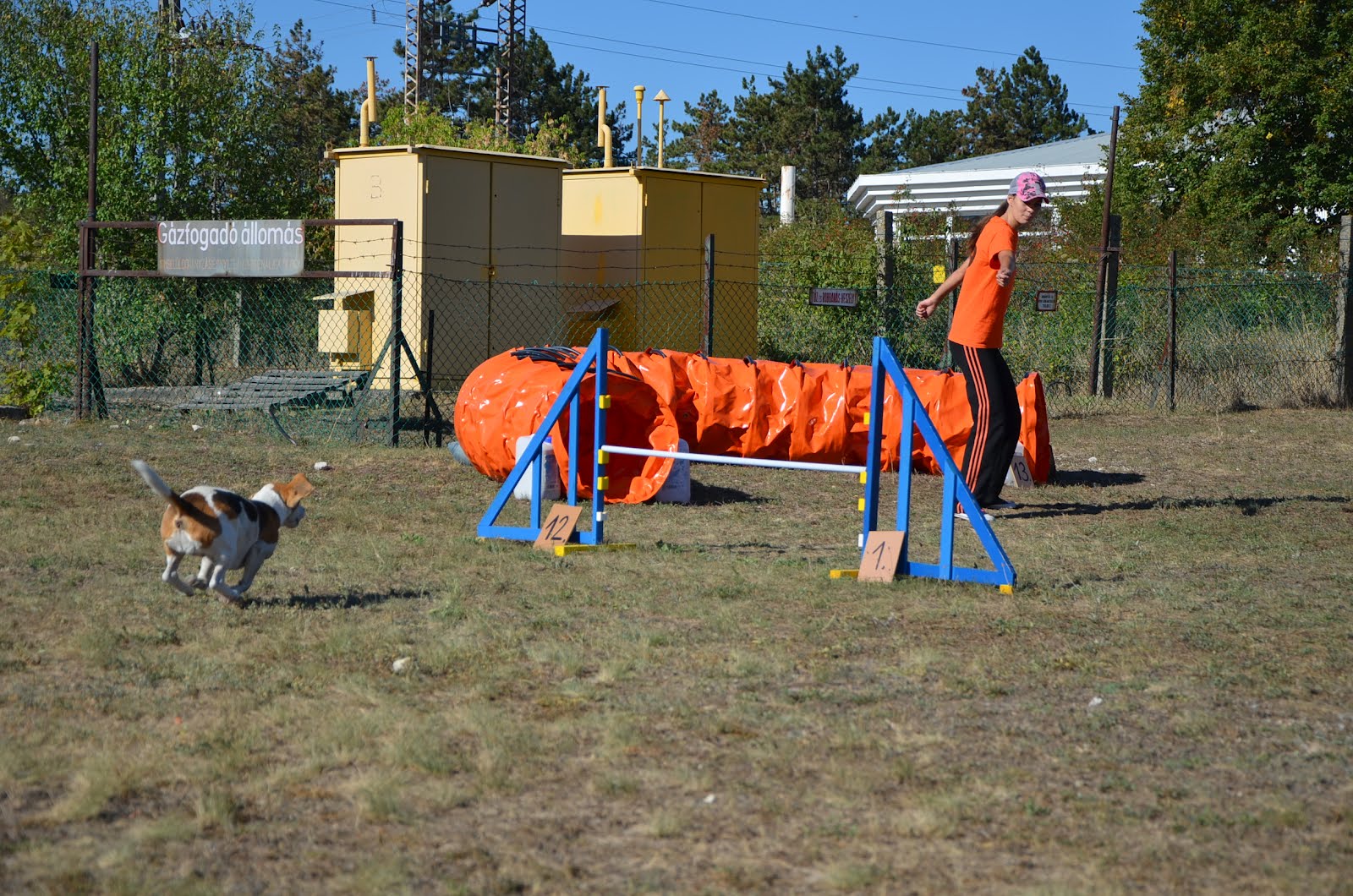 DSC_0165.JPG