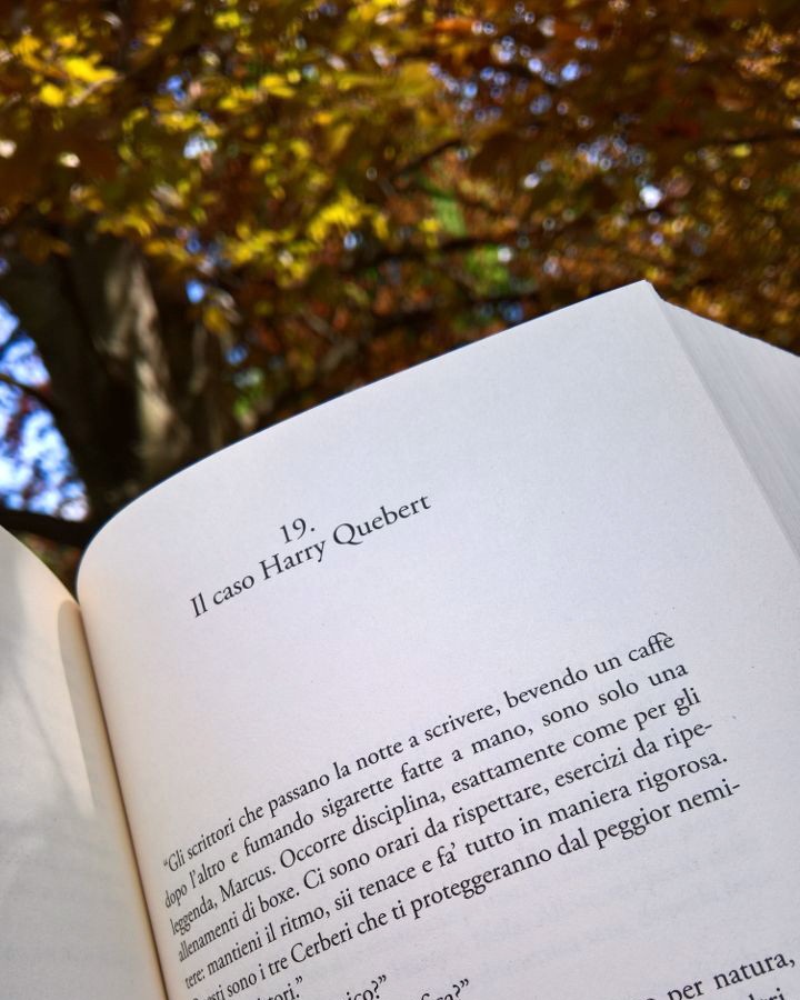 La verità sul caso Harry Quebert - Joël Dicker - The BooksCatcher La verità sul caso Harry Quebert - Joël Dicker - The BooksCatcher