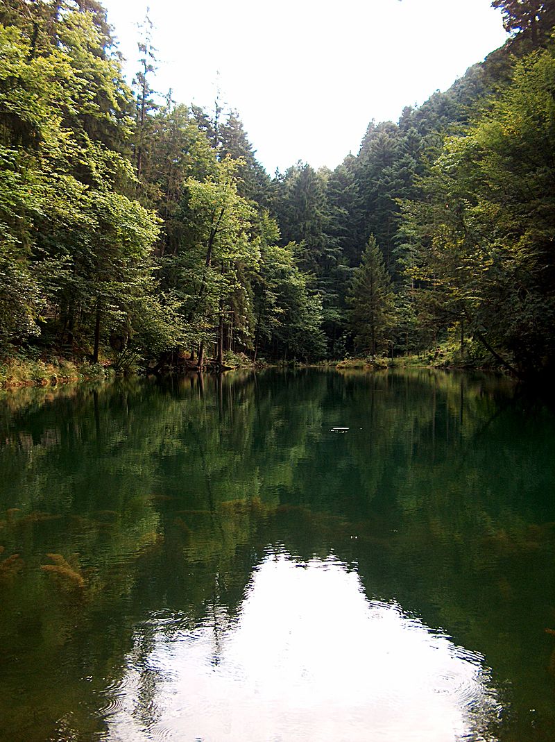 Dornbirn [ vorarlberg ] Der Schwarze See in Satteins