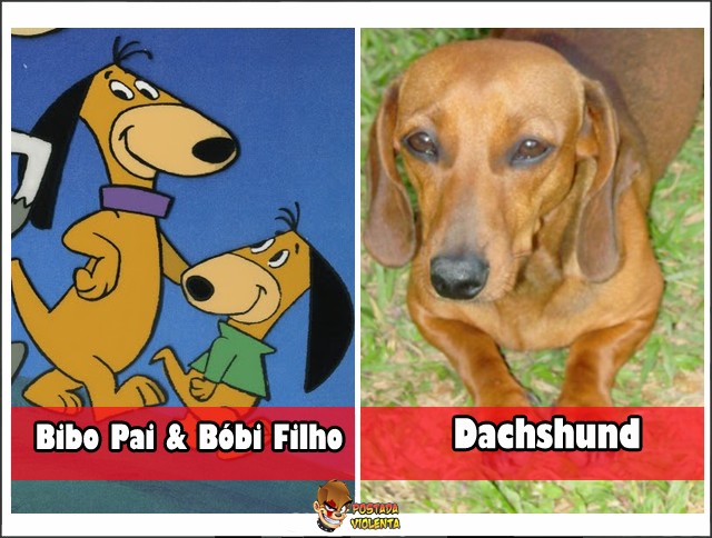 A raça do Bibo Pai 