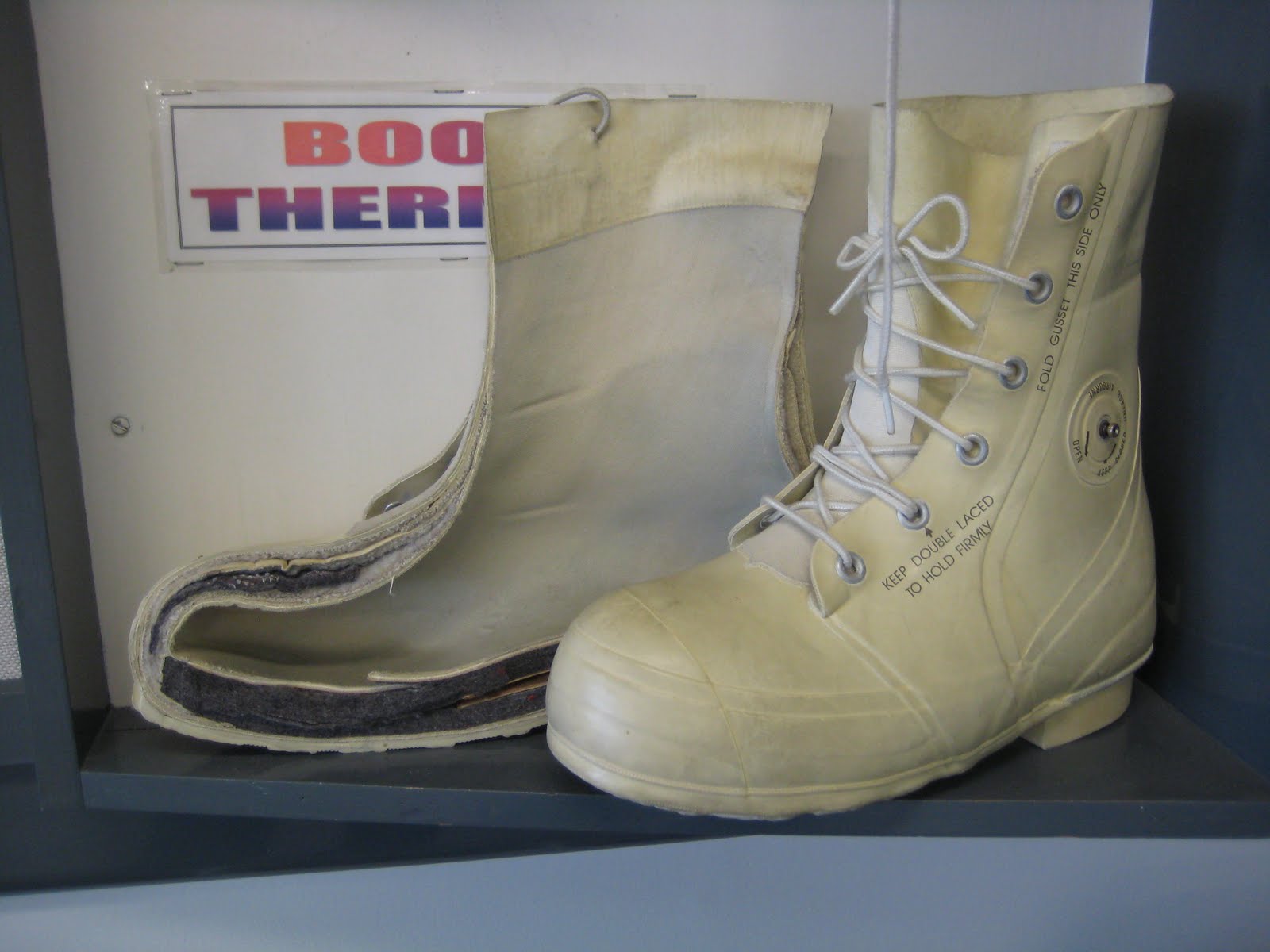 Biologists in Antarctica What to wear?