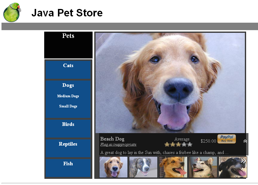 I.T. Go Home. Java Pet Store 2.0 the architecture (part 1)