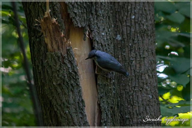 IMG_1226.jpg IMG_1226.jpg