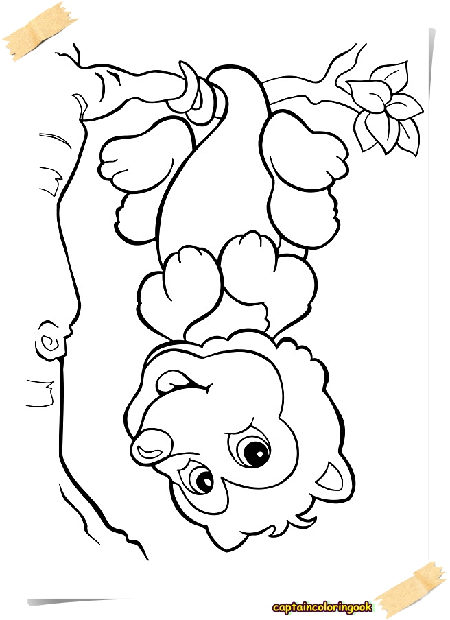 Opossum Coloring Pages