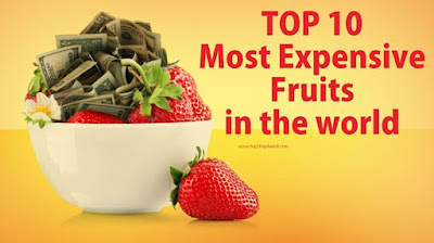 Top Ten World Most Expensive Fruits Japan Expensive Fruits