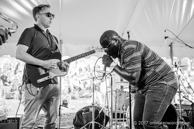 Pocket Dwellers at Riverfest Elora 2017 at Bissell Park on August 20, 2017 Photo by John at One In Ten Words oneintenwords.com toronto indie alternative live music blog concert photography pictures