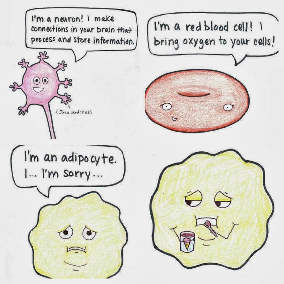 Моя последняя нервная клетка прикол картинка