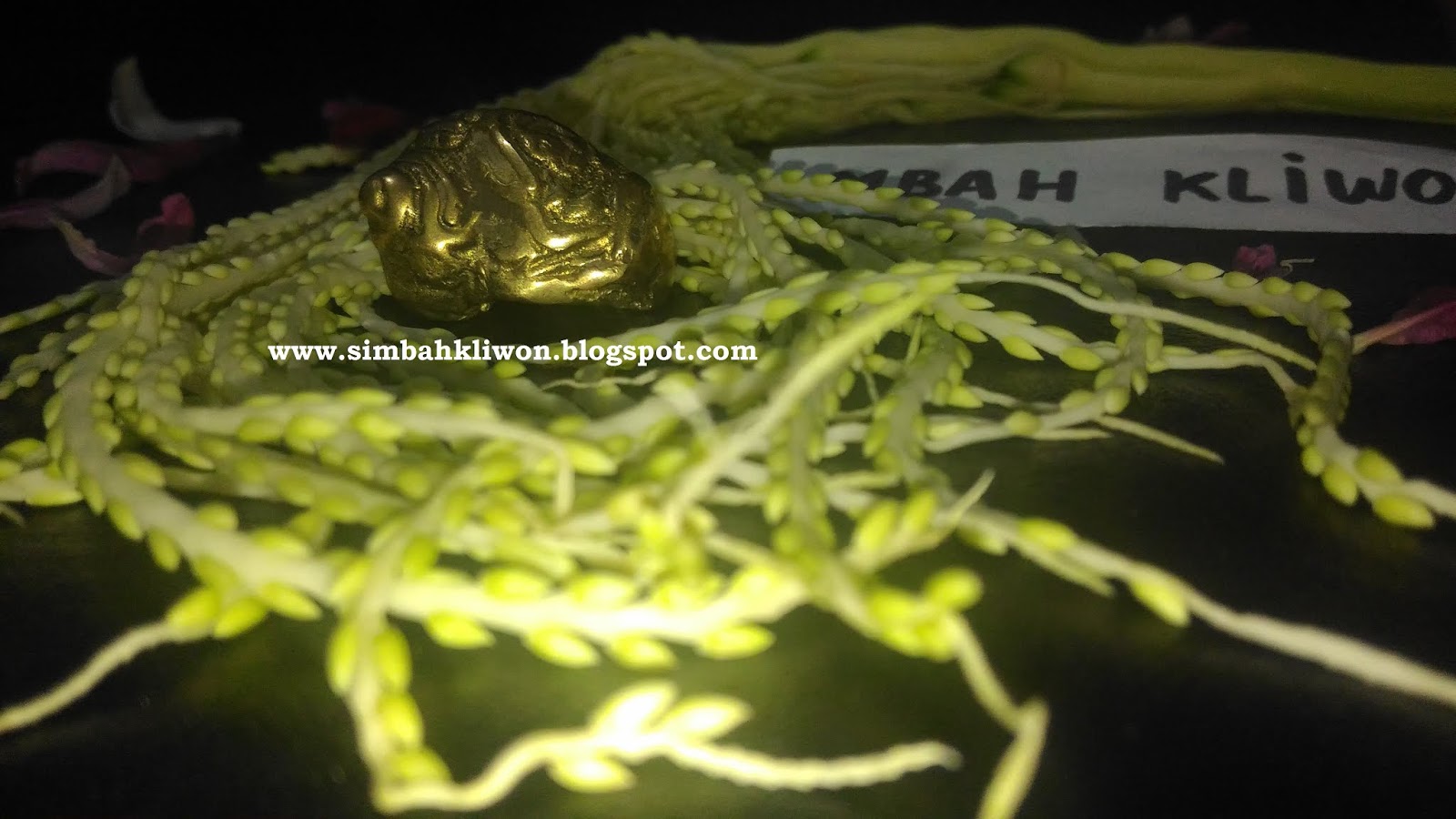 Alamat Dukun Pelet Alamat Orang Pintar Alamat Orang