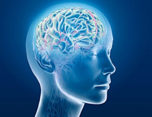 Colors that stimulate memory photo 3