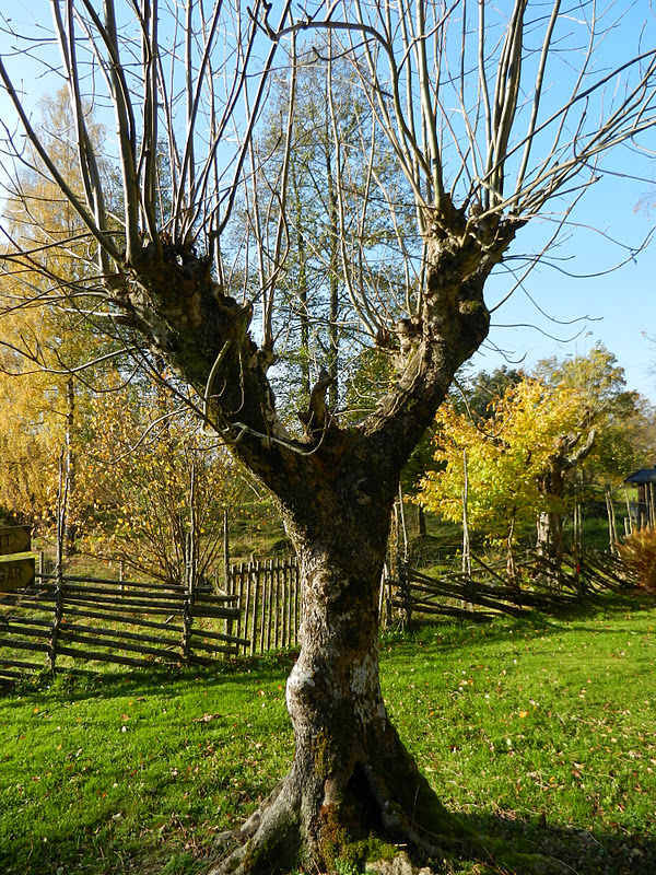 Karins Värld : oktober 2011