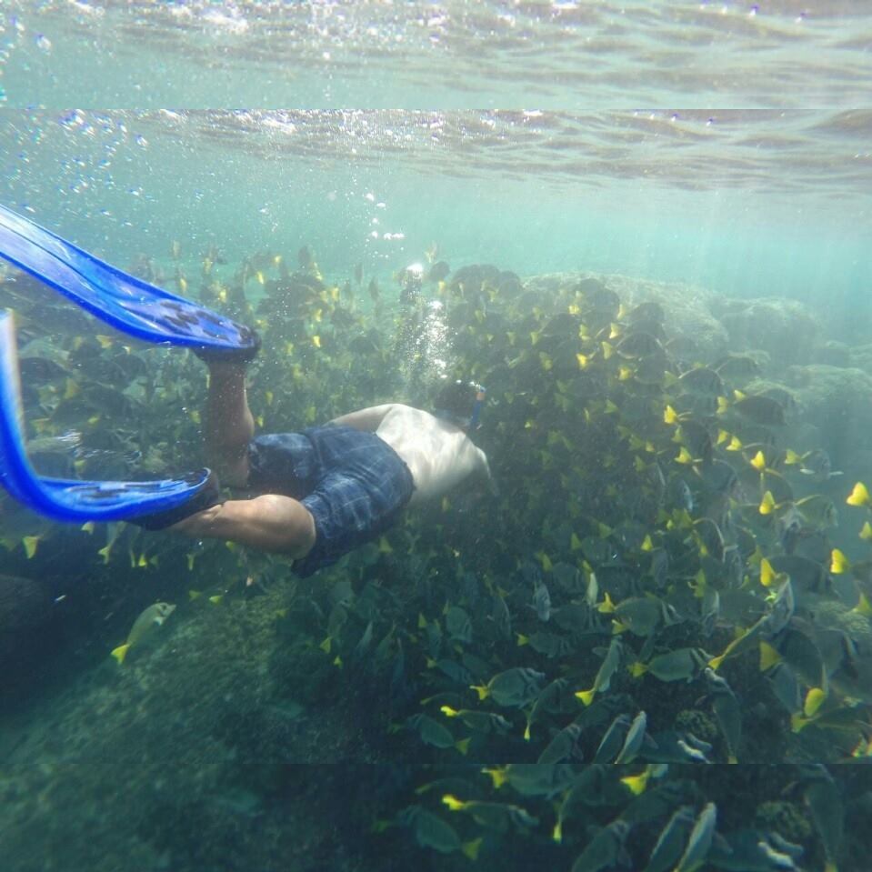 Puerto Escondido Oaxaca surfing Informaciòn turìstica