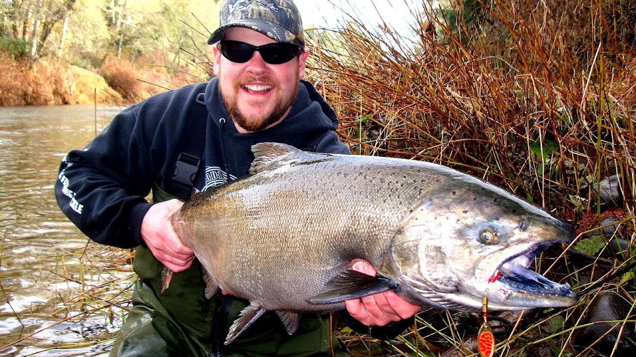 Best salmon fishing in the world Outlet