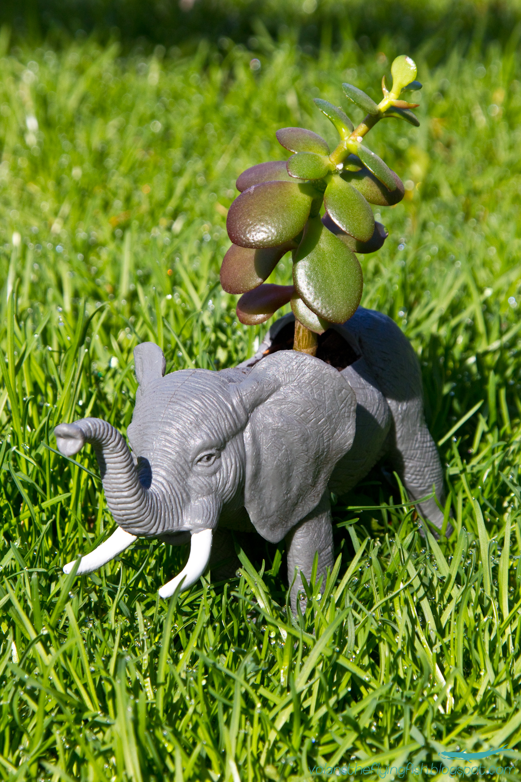 Volans in the Sky elephant planter
