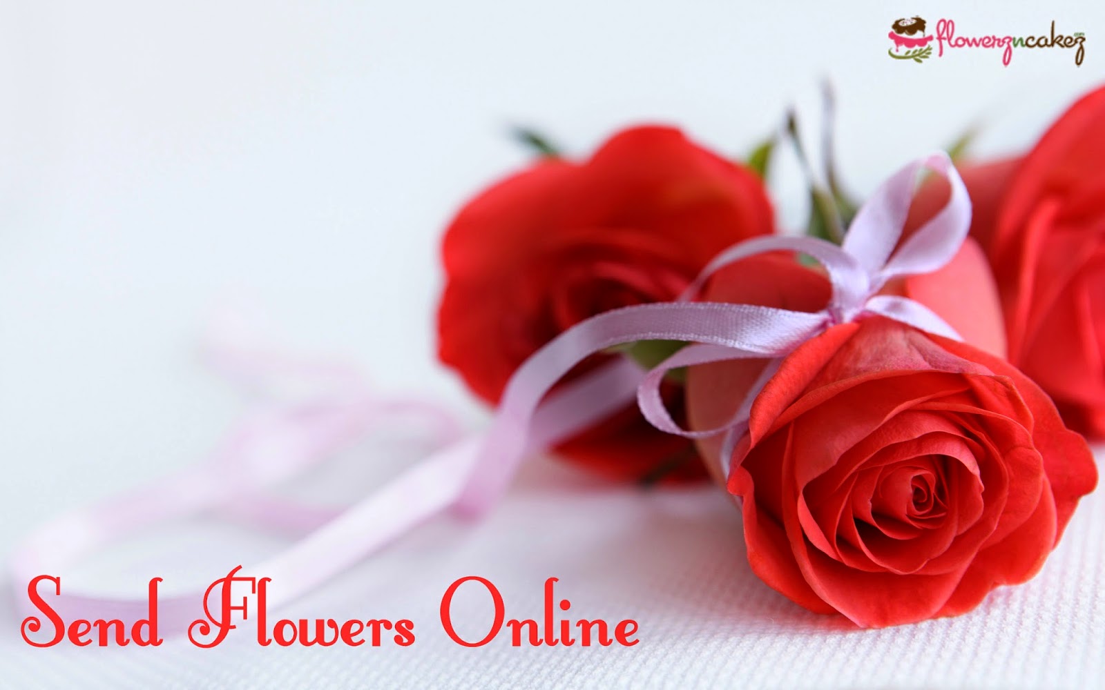 Online Flowers and Cakes Delivery Flowerz N Cakez Ordering Flowers