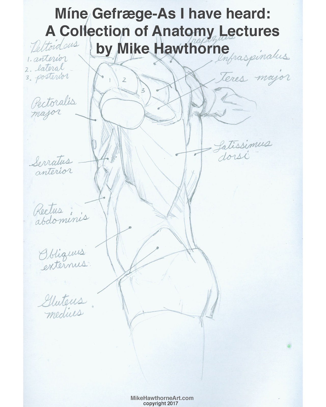 Human Anatomy And Drawing Pdf