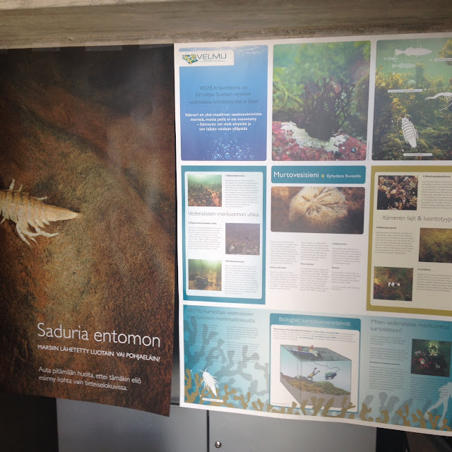 Kuva postereista, joissa esitellään Itämeren vedenalaista luontoa