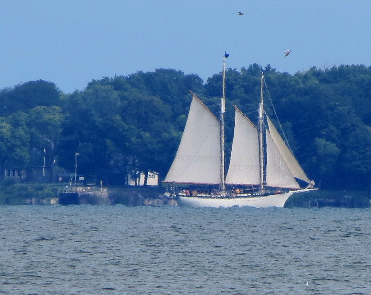 Weedpicker's Journal 200 years later... still sailing Lake Erie.