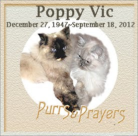 Rest In Peace Poppy Vic