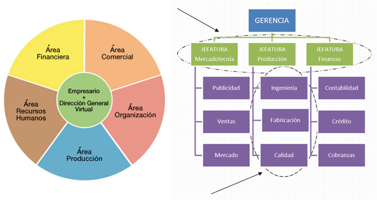 Evalúa el desempeño de la organización utilizando herramientas de