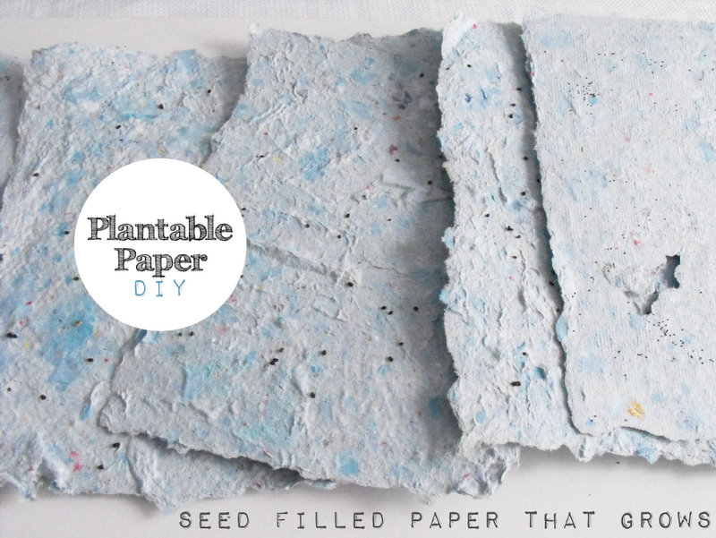 Simple DIY  Plantable Seed Paper Favor - Something Turquoise