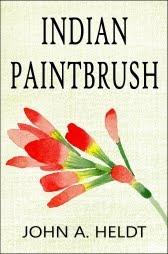 Indian Paintbrush (Carson Chronicles 3)