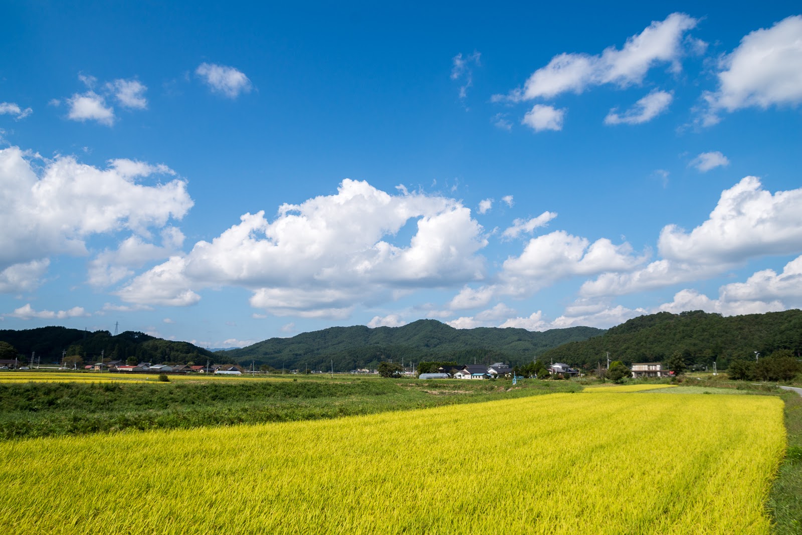 トオクノクモ 川内村【福島県双葉郡川内村】