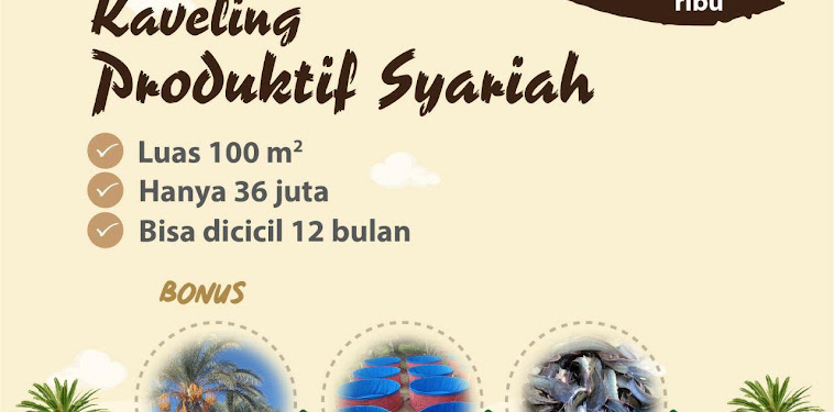 Kabar Gembira : Kavling Produktif Sudah Ready, Bisa Segera AJB Kabar Gembira : Kavling Produktif Sudah Ready, Bisa Segera AJB