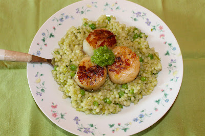 Top view of seared scallops on pearl couscous topped with garlic scape sauce.
