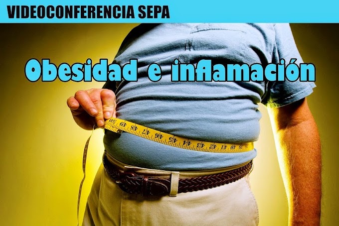 VIDEOCONFERENCIA: Obesidad e inflamación - SEPA