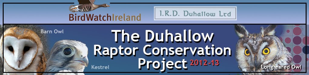 Duhallow Raptor Conservation Project
