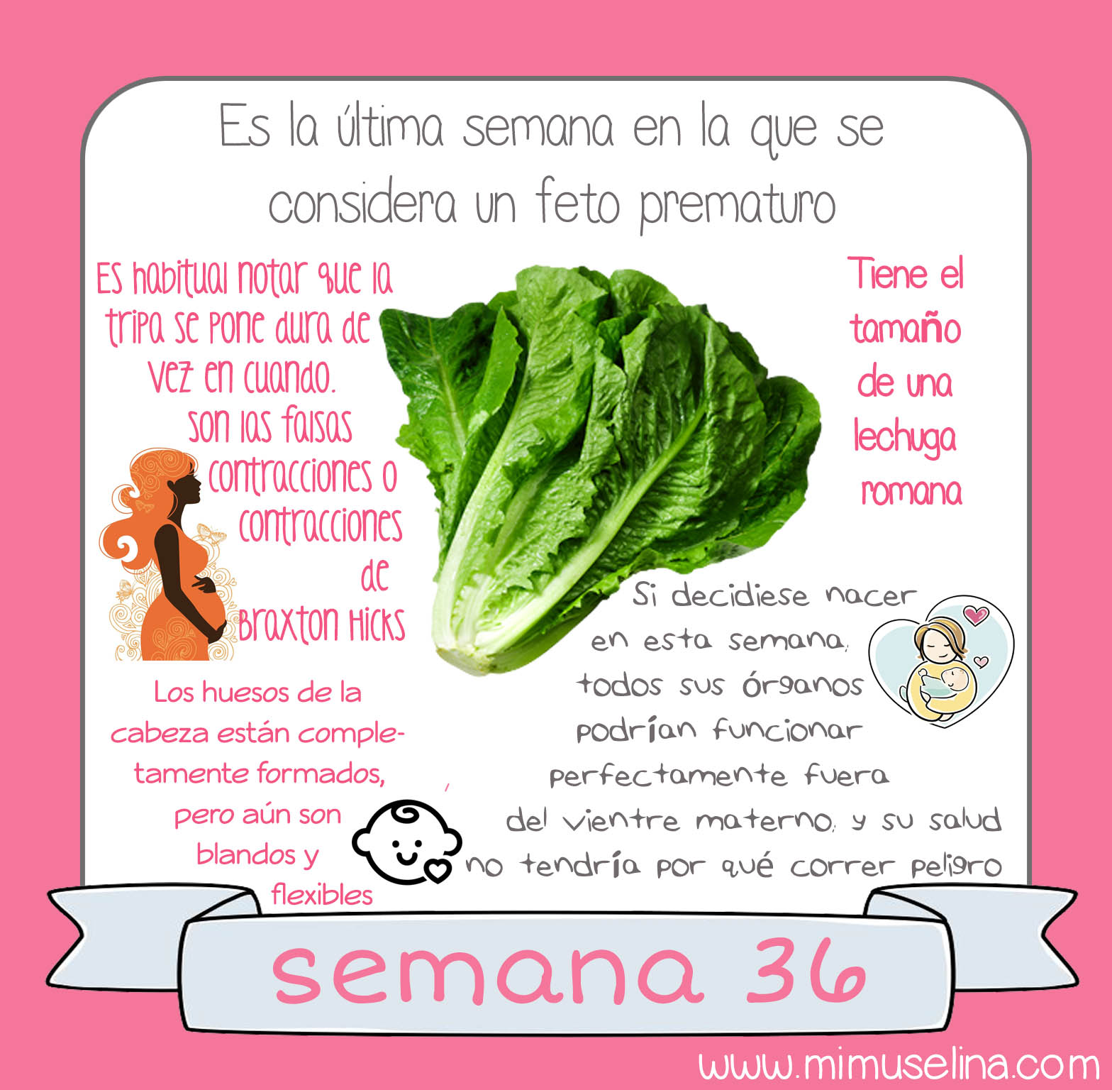 Semana 36 de embarazo que mes es