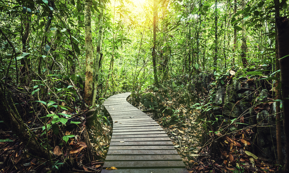 OUR JOURNEY WITH NATURE: Taman Taman Negara Di Sarawak, Malaysia