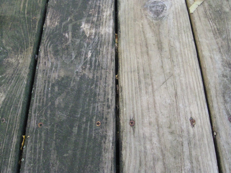 Finding Pheidippides How to Clean a Dirty Deck