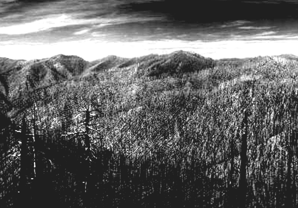 Tillamook Burn Oregon Forest Fire