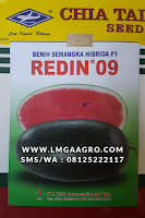 SEMANGKA INUL REDIN 09, JUAL BENIH REDIN 09, REDIN 09 HARGA MURAH, LMGA AGRO