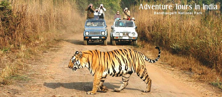 http://www.bespokeindiaholidays.com/adventure-tour-packages.html