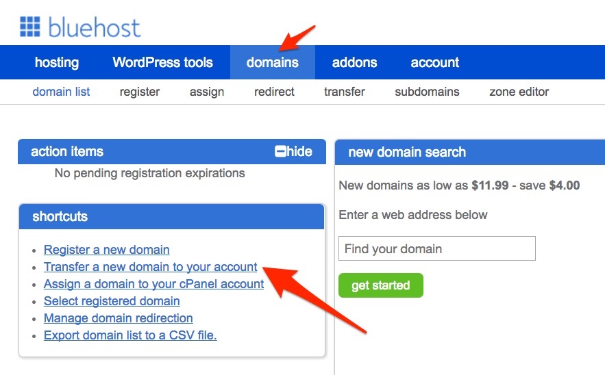 How to Transfer a Domain to Bluehost (Update) TechJan Beginner's