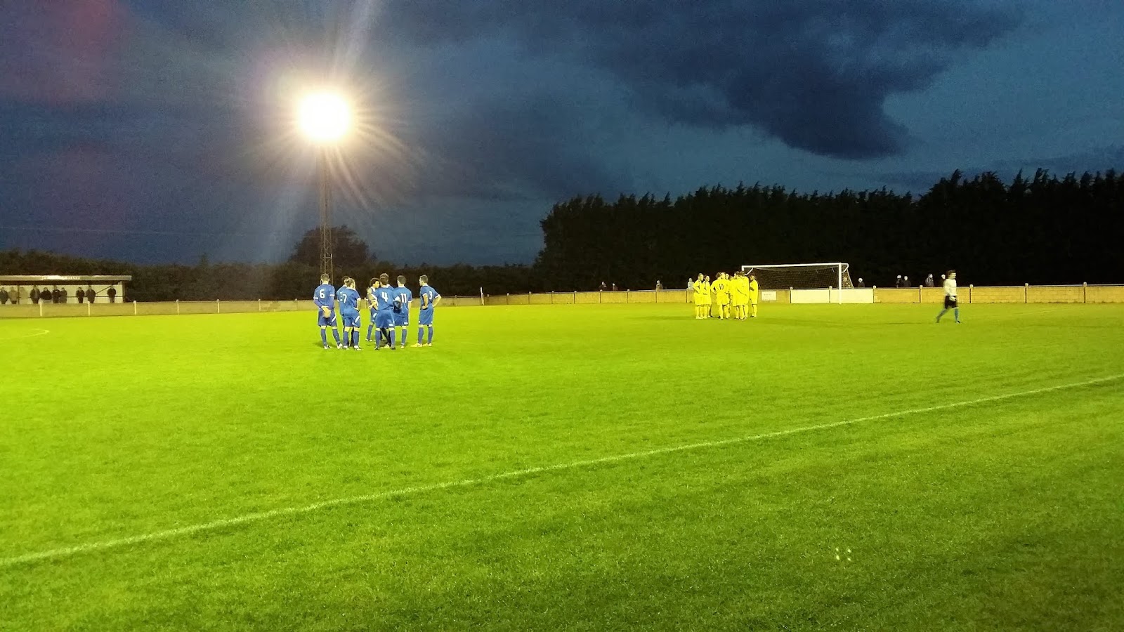 The Wanderer Langford Forde Park