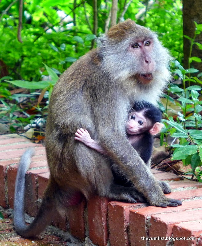 Mum and bub The Andaman, a Luxury Collection Resort, Langkawi