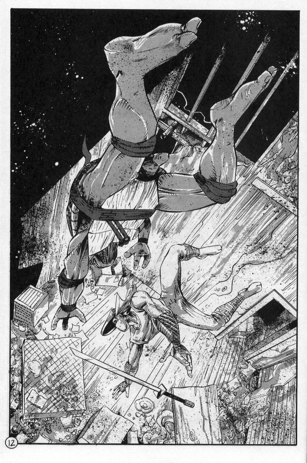 Teenage Mutant Ninja Turtles (1984) Issue #61 #61 - English 14