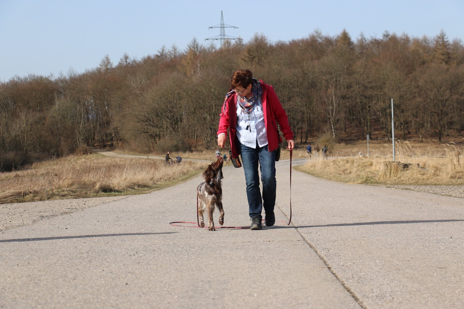 Hundeblog | Fressen, Kuscheln Buddeln&hellip;