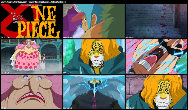 One Piece 816